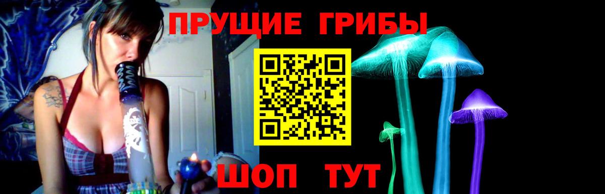 Анжеро-Судженск  Галлюциногенные грибы ЛСД  Псилоцибиновые грибы Cubensis  Вход с VPN 